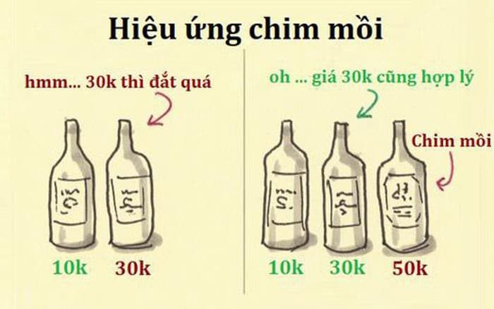 Hiệu ứng chim mồi